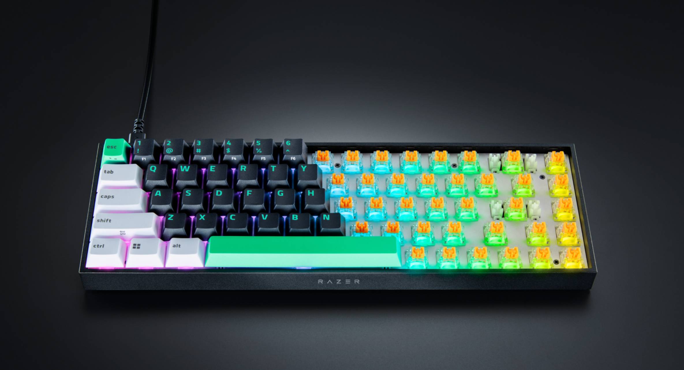Razer Reclusa X Mini 65% 電競鍵盤上市！熱插拔 3/5-pin 軸體，售價 1,890 元